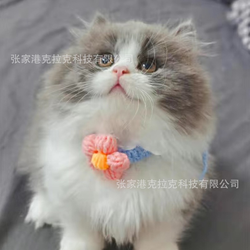 Vòng cổ cho thú cưng xinh xắn freesize handmade