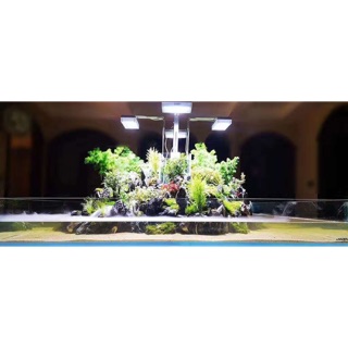 Đèn netlea AT3 Pro bản vuông (Chính Hãng)