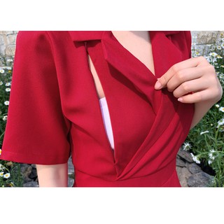 Váy cho con ti, dáng xòe, cổ bẻ