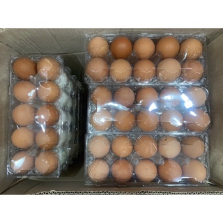 [QUẬN 5] TRỨNG GÀ VỊT TƯƠI VỈ 10