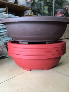 Chậu nhựa bonsai lớn dáng oval 48cm
