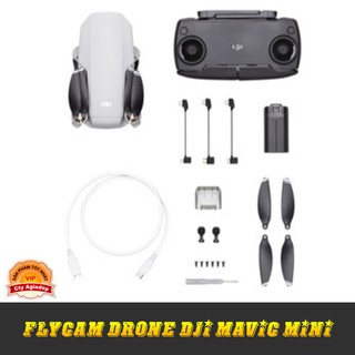 Flycam Drone DJI Mavic Mini phiên bản nổi tiếng mới ra - Hàng VIP cao cấp nhập khẩu