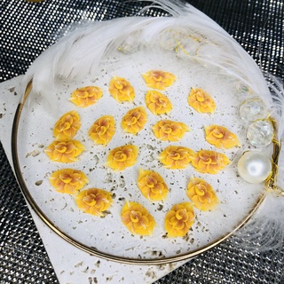 Hoa Nail Đẹp , Hoa Bột Vừa Form Móng Thật  , Xoáy Ẩn Ombre - Shop Đức Phúc