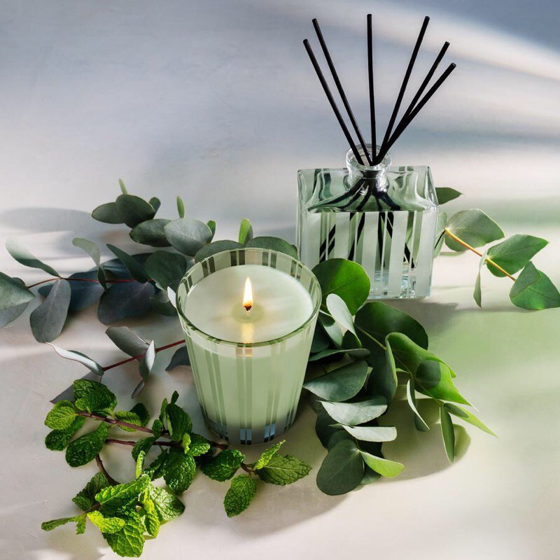 Nến thơm bạc hà Wellness wild mint & eucalyptus minisize