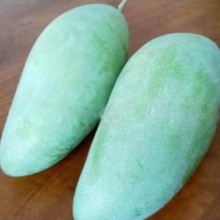 Cây giống xoài xanh thái, siêu ngọt, năng suất vượt trội