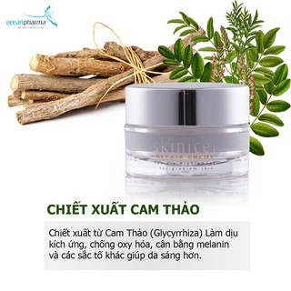 [Jami JSC] Kem Dưỡng Tái Tạo Da Chống Lão Hóa Skinicer Repair Cream 30gr - CHLB Đức