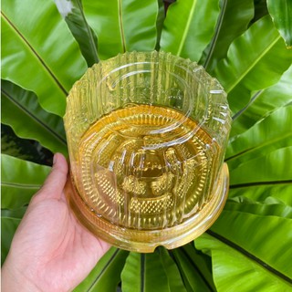 (Set 50 | A014) Hộp Nhựa Tròn Đế Vàng Nắp Trong Đựng Bánh Kem, Bánh Đào Tiên
