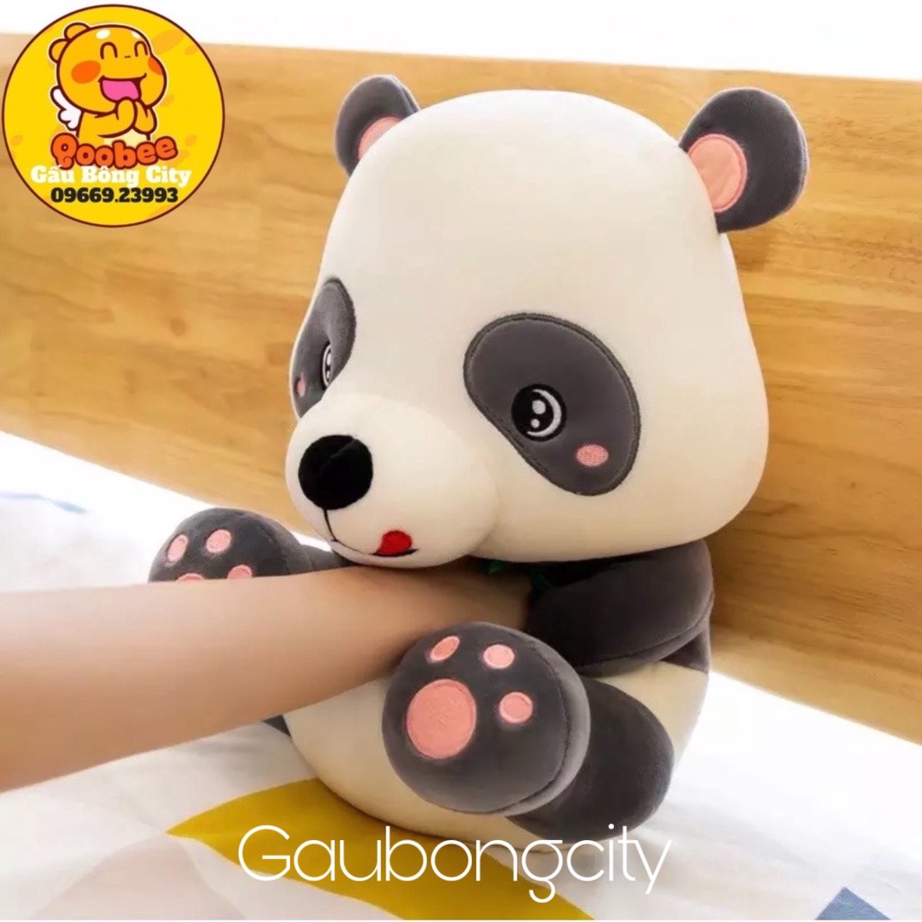 Gấu Bông Gấu Trúc Panda Ngồi - Gấu Trúc Nhồi Bông Cao Cấp