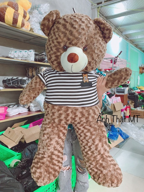 Gấu Teddy Cao Cấp  FREESHIP  Gấu Bông Teddy Khổ Vải 1M,1M2,1M5,1M7 Hàng VNXK Chất Đẹp