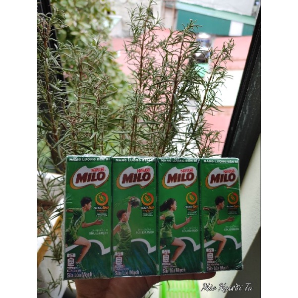 Lốc 4 hộp sữa Milo có đường 180ml hạn 11.2022