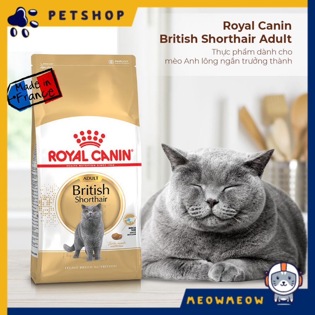 Hạt cho mèo Royal Canin Brishtish Shorthair | Hạt dinh dưỡng cho mèo lông ngắn Anh.