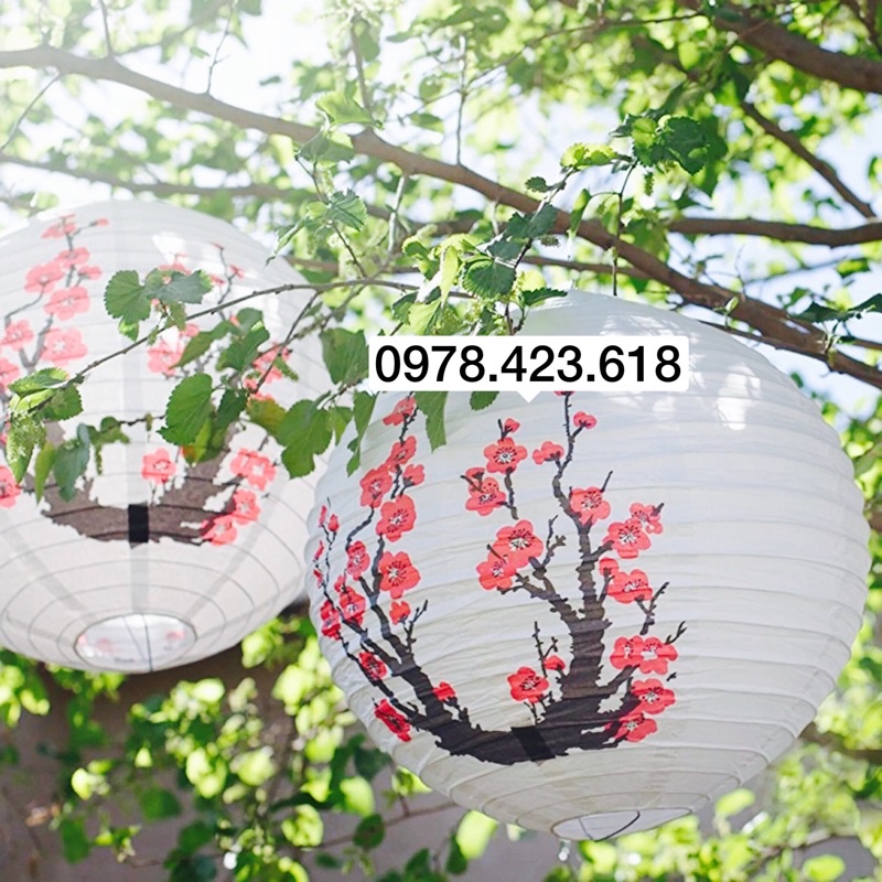 Đèn lồng giấy Hoa văn hoa anh đào - in cây trúc - đèn lồng Nhật Bản - Hồng Kông Trung Quốc trang trí nhà hàng, Lễ Tết