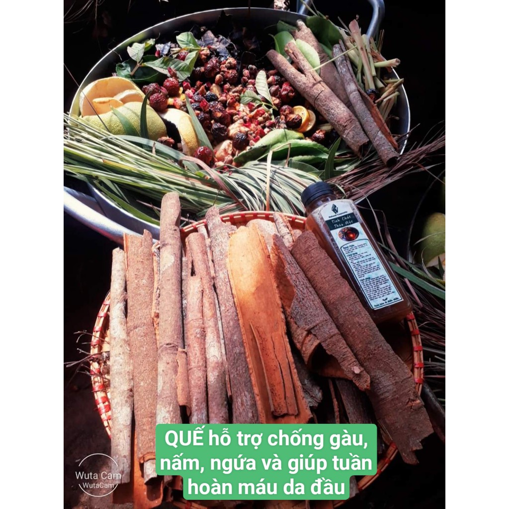 TINH CHẤT THẢO MỘC kích mọc tóc, ngăn rụng, trị gàu, nấm ngứa | BigBuy360 - bigbuy360.vn