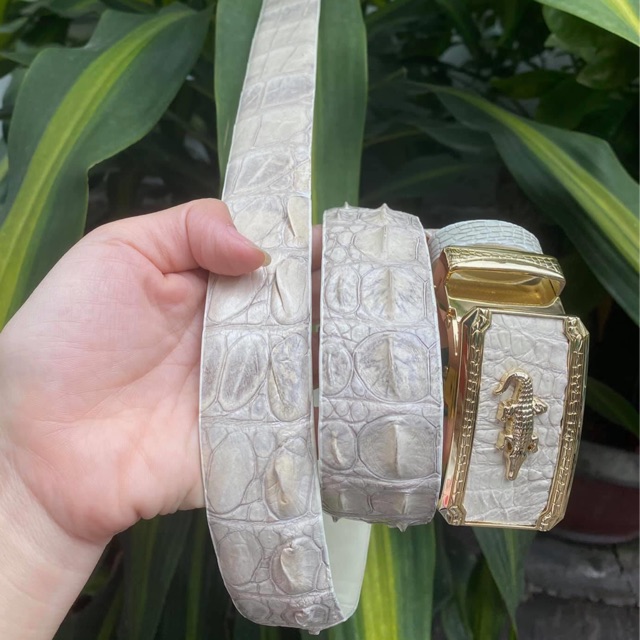 DÂY THẮT LƯNG DA CÁ SẤU THẬT TRẮNG | RYRY STORE