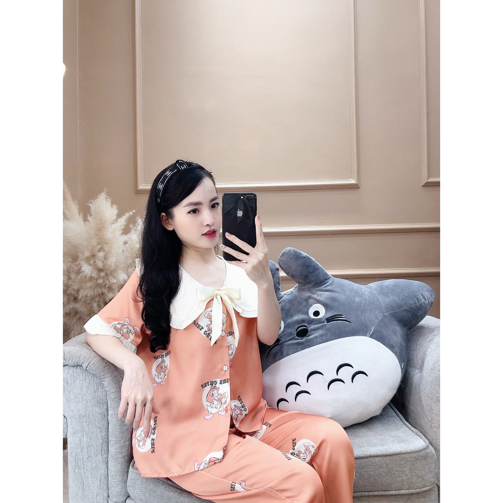 Bộ Pijama- mẫu ngẫu nhiên-Hoạ Tiết  Dành Cho Nữ Mặc Ở Nhà, Đi Chơi.. Free size 40-60kg