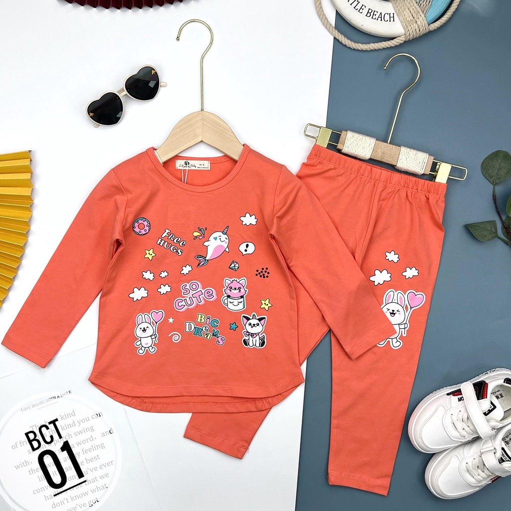 Bộ thun dài tay bé gái LITIBABY, size 2,3,4,5,6,7,8 tuổi