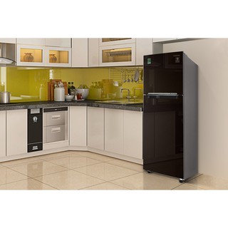 Tủ lạnh Samsung RT22M4032BY/SV Inverter 236 lít
