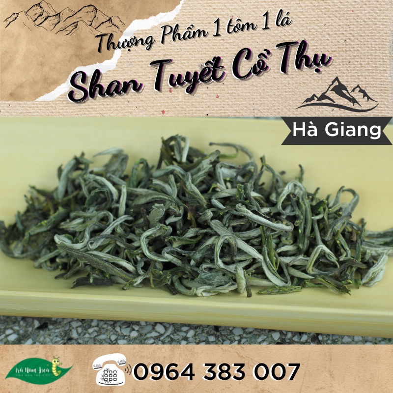 100g Trà Shan Tuyết Cổ Thụ 1 Tôm 1 Lá