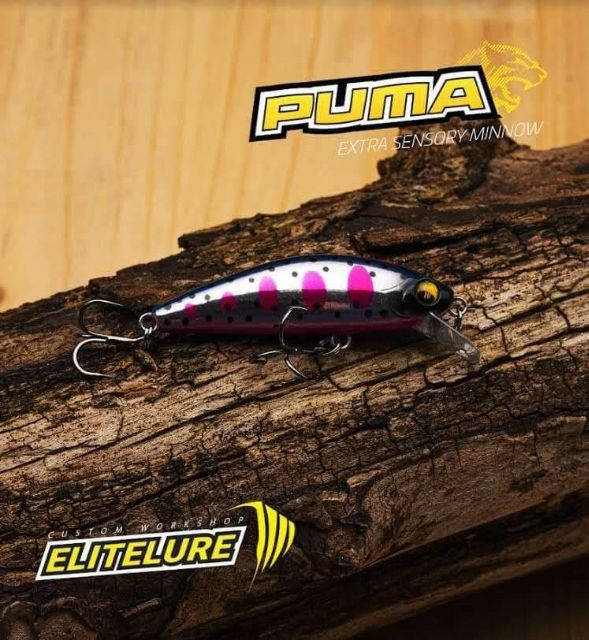 Mồi giả câu chẽm EliteLure Puma Extra Sensory Minnow