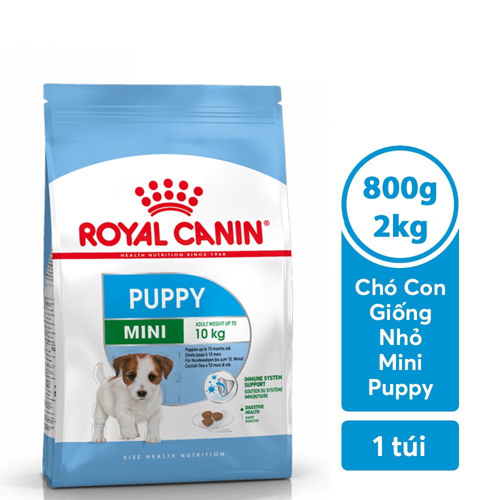 Royal Canin Mini Puppy Junior | Thức ăn hạt Royal Canin cho chó size nhỏ dưới 10 tháng