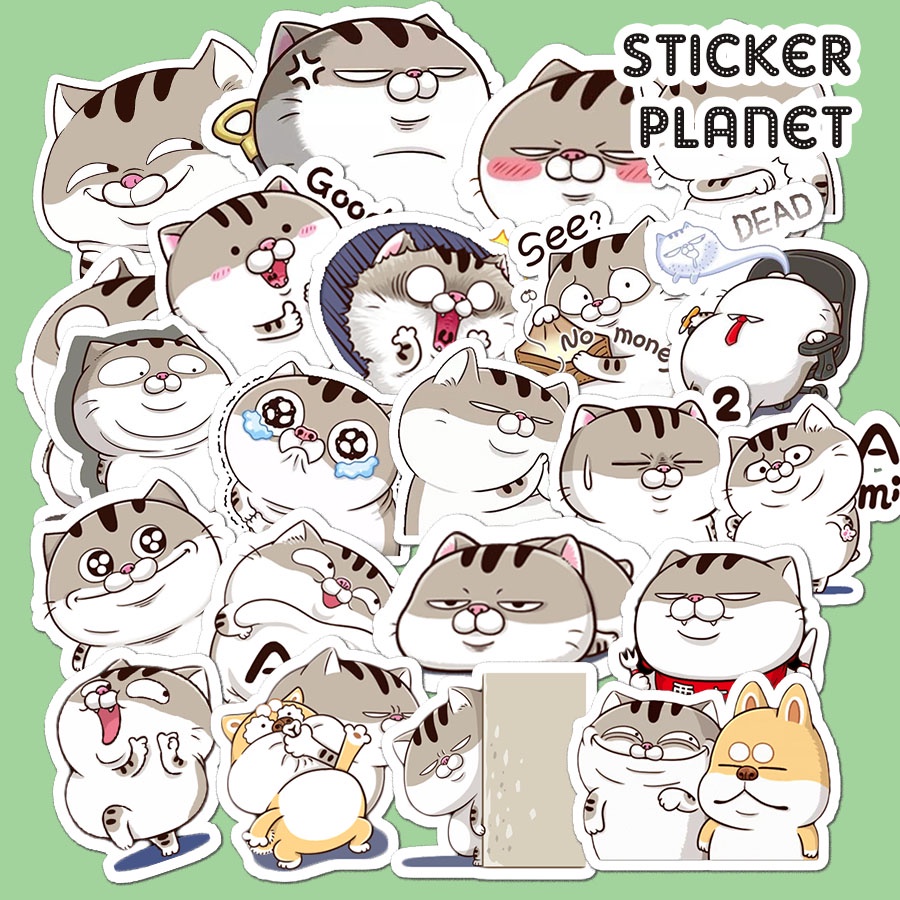 Bộ sticker mèo ami bụng bự trang trí mũ bảo hiểm, đàn, guitar, ukulele, điện thoại laptop