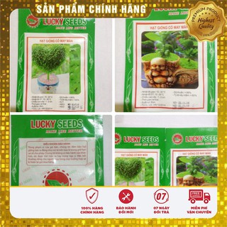 Bộ 2 gói hạt giống cỏ may mắn