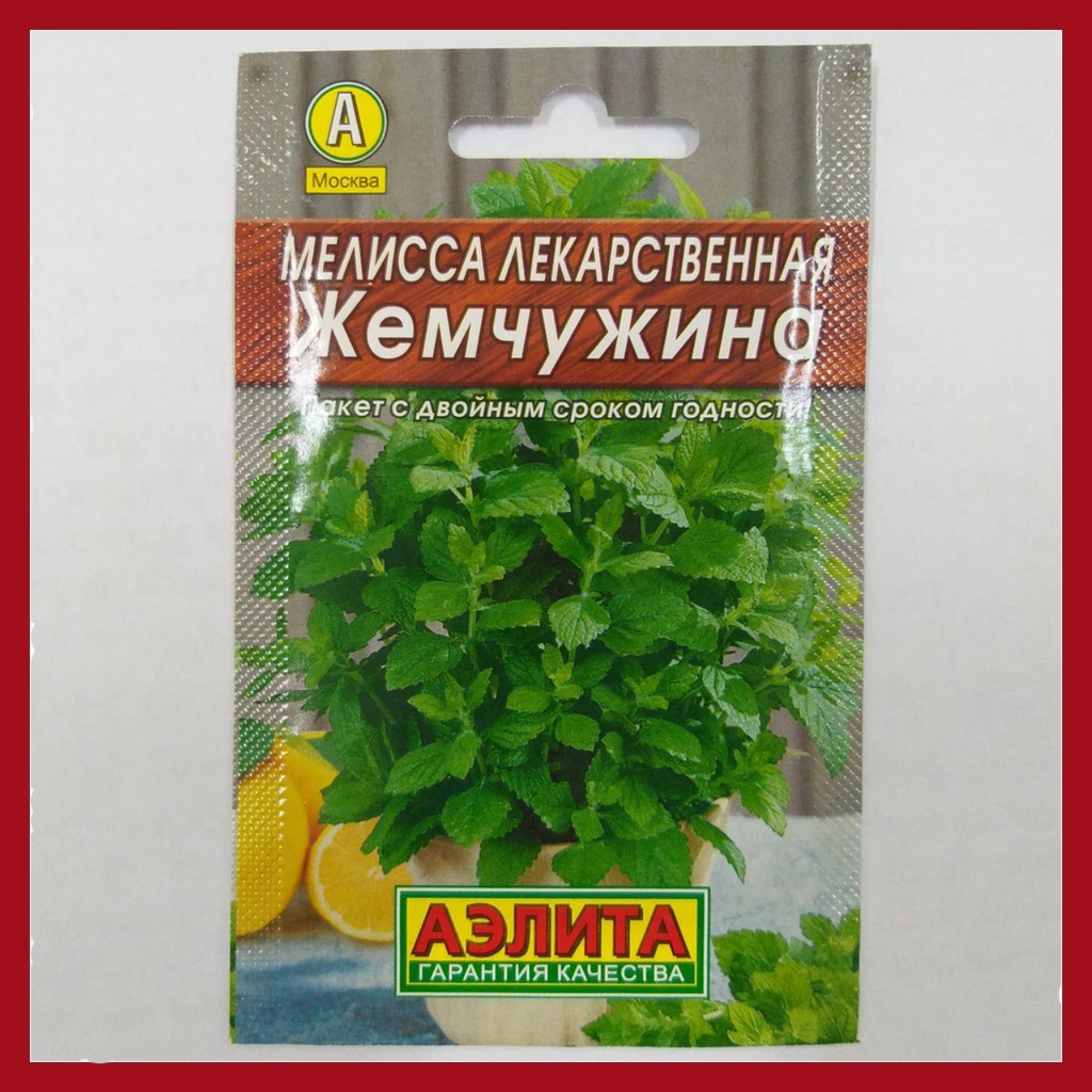 Hạt giống Bạc Hà Nga (0,1gr)