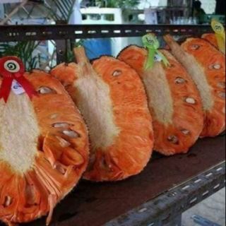 Cây giống mít ruột đỏ nhập