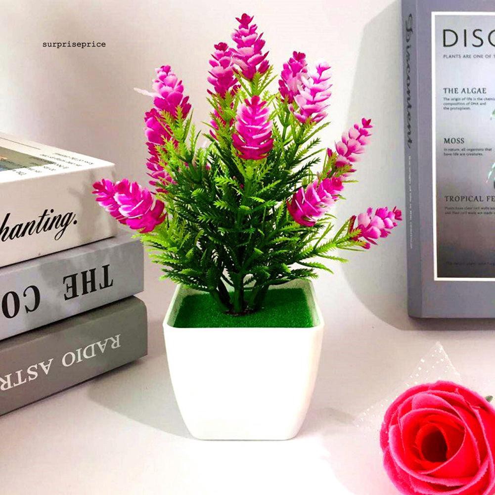 Chậu cây thông nhân tạo dành cho trang trí tiểu cảnh