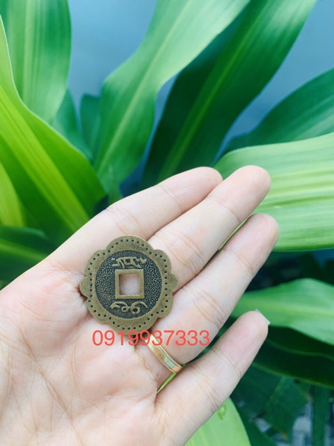 Đồng xu hoa mai 3 cm | BigBuy360 - bigbuy360.vn