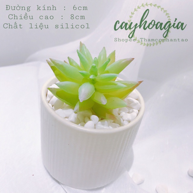 Cây giả - Sen Đá Giả Ms52