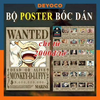 23 tấm Poster truy nã one piece, poster truy nã luffy mới nhất