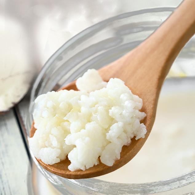 Nấm sữa lên men Kefir Milk Nấm làm sữa chua Kefir Milk thực phẩm organic Kefir Milk | BigBuy360 - bigbuy360.vn