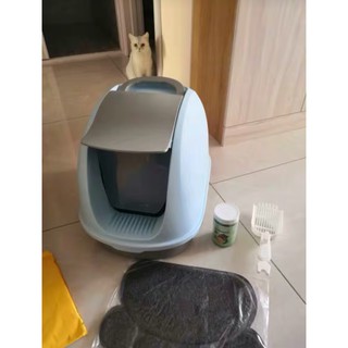 Nhà vệ sinh cho mèo