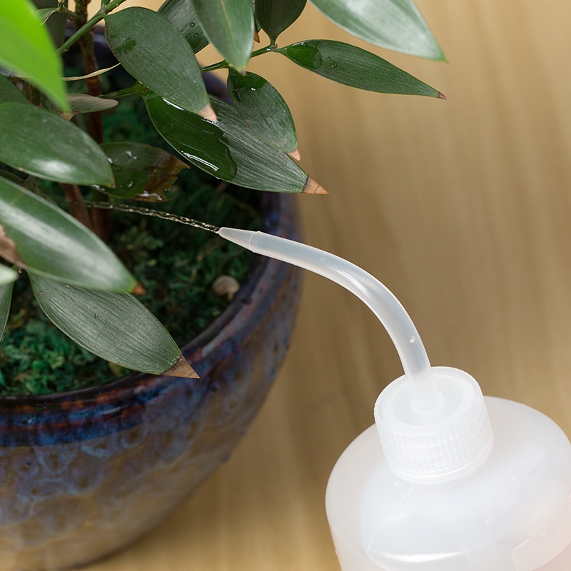 Bình tia nhựa 500ml vòi cong, nắp nhựa trắng,chất liệu nhựa PP, chứa nước cất, dung dịch tẩy rửa