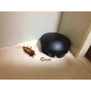 Thuốc diệt gián Nhật Bản hộp 12 viên