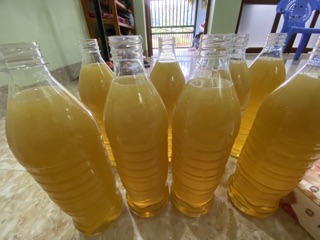 MẬT ONG BẠC HÀ CHUẨN RỪNG