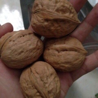 Quả Óc Chó