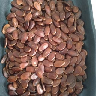 60g hạt dưa sạch Trường Đạt