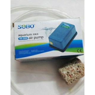Máy Sủi Khí Oxy 1 Vòi SB-2800, 1m dây, 1 Đá Lớn - Máy Sủi Khí Hồ Cá, Bể Cá Sobo.