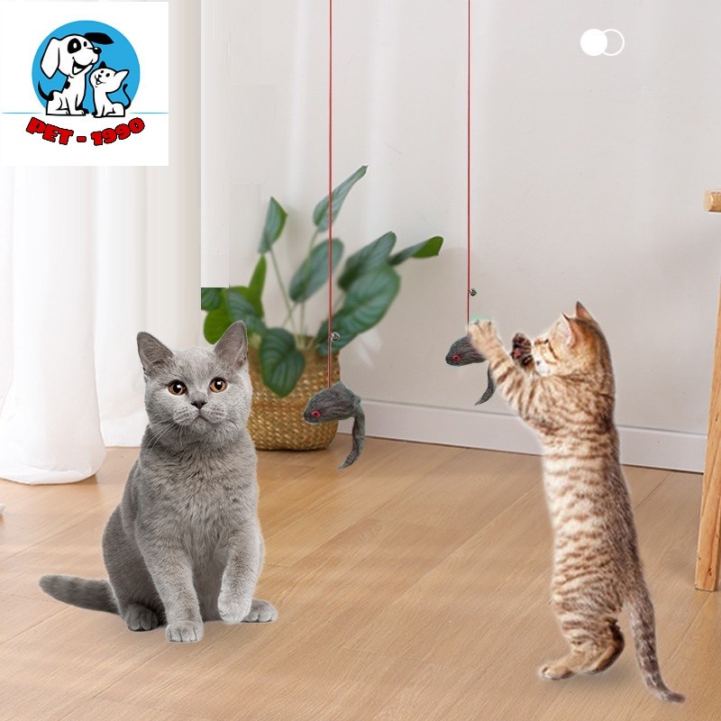 Đồ Chơi Dây Treo, Gắn Cửa Co Giãn Nhiều Mẫu Cute Cho Thú Cưng