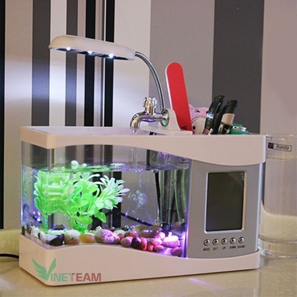 🍒Bể Cá Mini🍒 Hồ Cá Cảnh Mini Kiêm Đồ Hồ Để Bàn Siêu Đẹp (Tặng Kèm Đá Và Cây Cảnh) | BigBuy360 - bigbuy360.vn