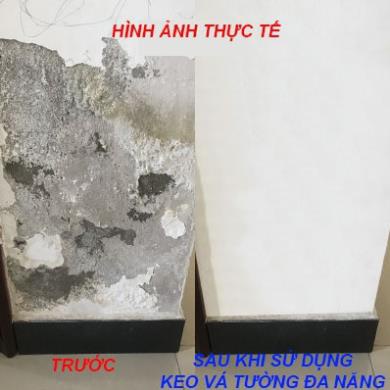 Tuýp Keo Vá Tường, Trám Vết Nứt, Khe Hở Trên Bề Mặt Tường Đa Năng (250g)