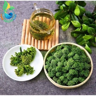 Nụ hoa tam thất, Hoa Tam Thất bao tử sấy khô