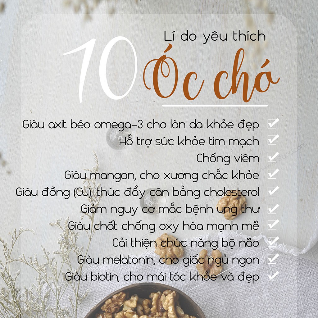 Nhân Óc Chó Mỹ | BigBuy360 - bigbuy360.vn