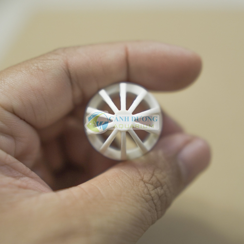 Nắp thoát cho ống U-PVC Phi 32-25-20 chuyên dùng cho hồ cá