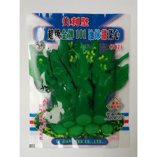CẢI NGỒNG CỌNG XANH - 20G - QUẢNG CHÂU - Bán buôn, bán lẻ hạt giống Uy tín SẮP NGỮ