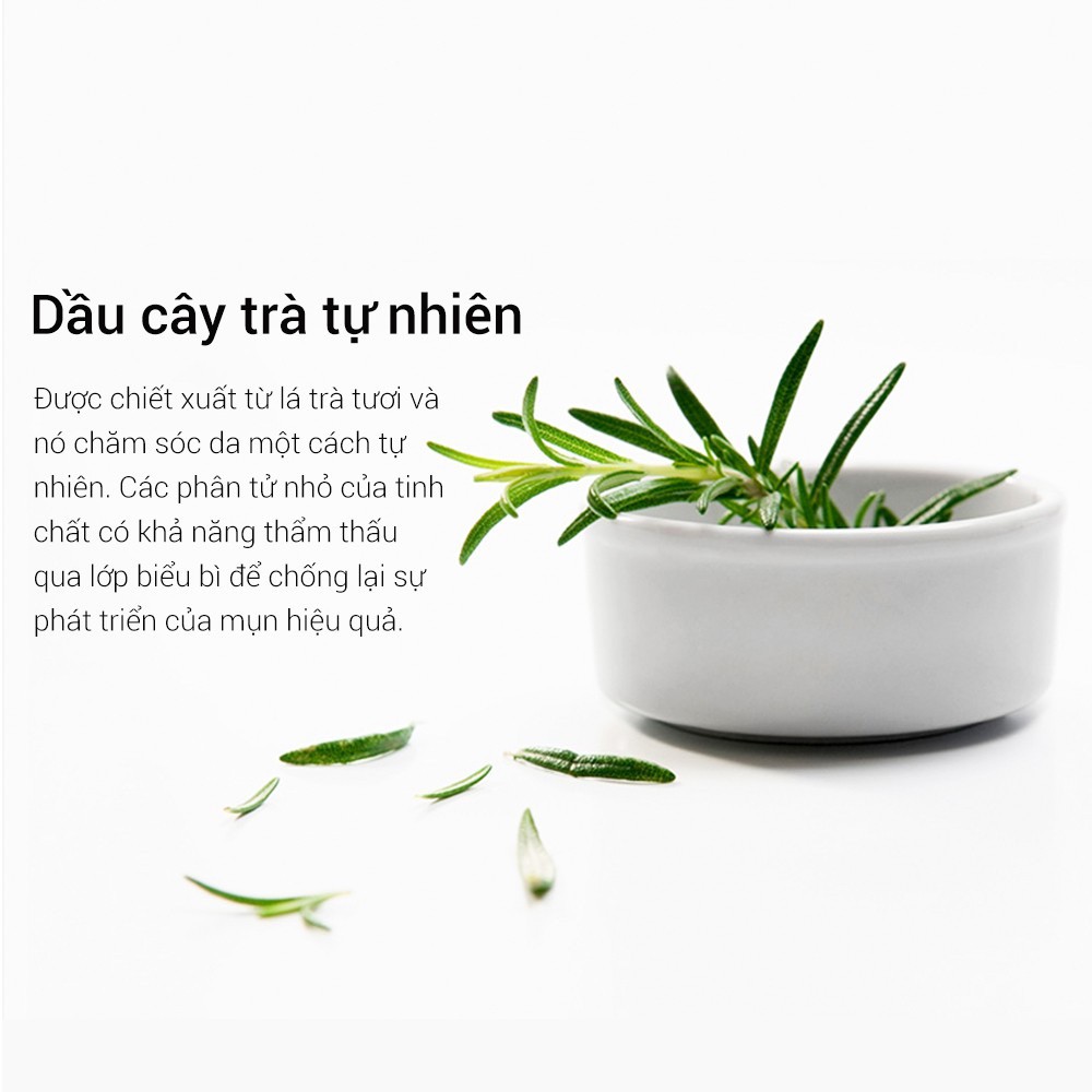 Tinh Chất Chống Pimples BREYLEE Tea Tree Loại Bỏ Pimples Hiệu Quả 17ml