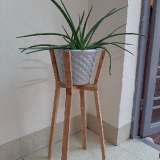 Kệ để chậu cây cảnh