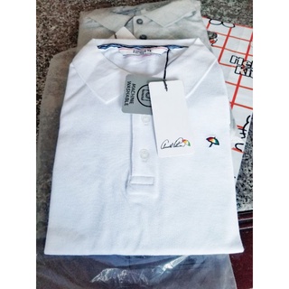 POLO XUẤT HÀN